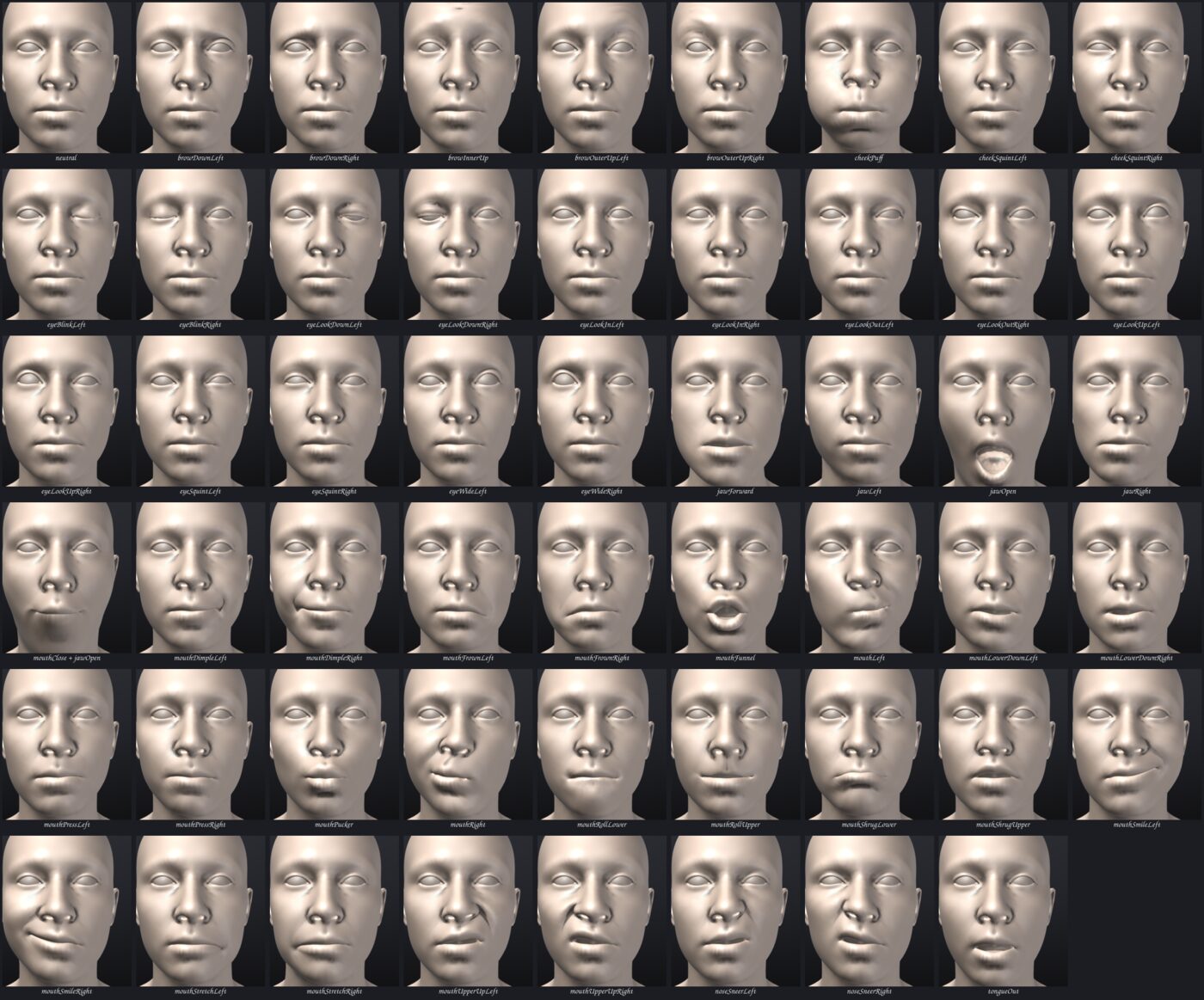 Every ARKit shape on the template head