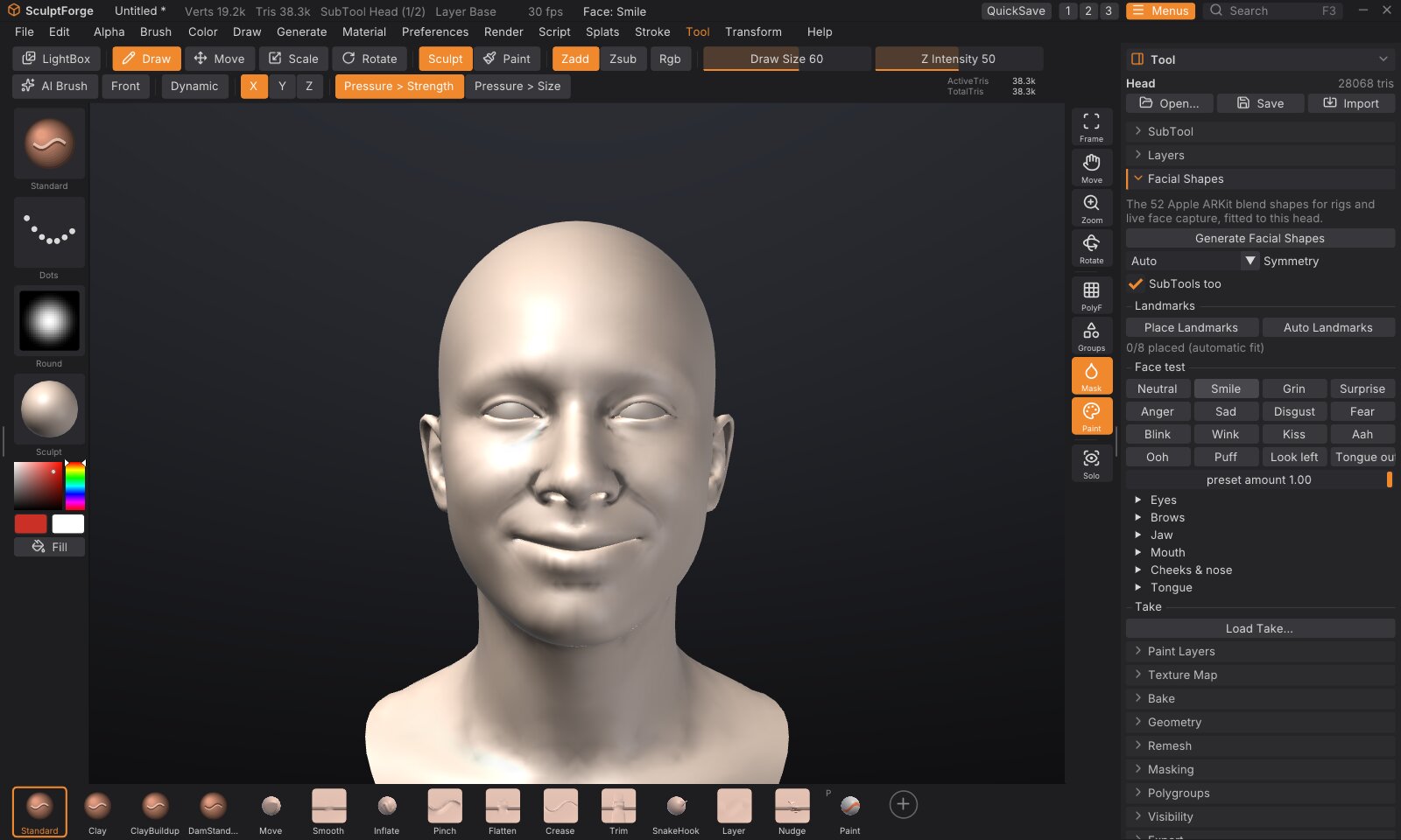 Tool > Facial Shapes, with the template head smiling