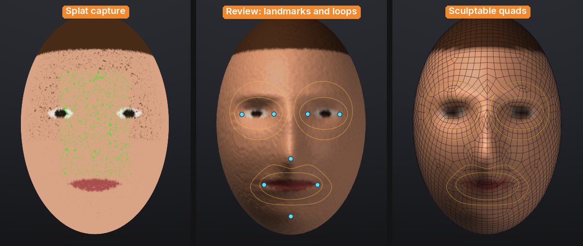 A test head capture, the review of its face landmarks and loops, and the finished quads with its colours